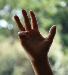 Vignette de Compter sur ses doigts