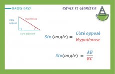 Carte sinus verso