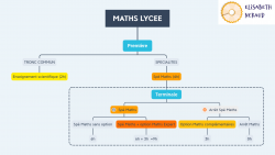 Vignette de Le parcours en maths au lycée