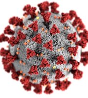 pexels cdc virus