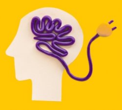 Vignette de Une mémoire d'"Eleph'Ant", ça vous tente ?