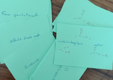 Flashcards Physiques Term